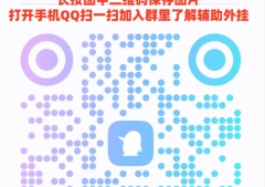 实操教程“白金岛跑胡子有外挂吗”（辅助插件下载教程）